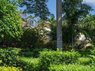 Townhouse For Rent in Guango Grove, St. James Jamaica | [1]