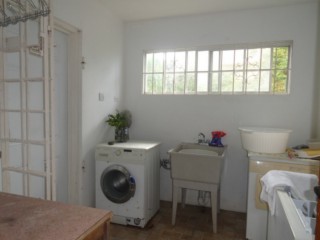 Apartment For Rent in TORADO HEIGHTS, St. James Jamaica | [5]