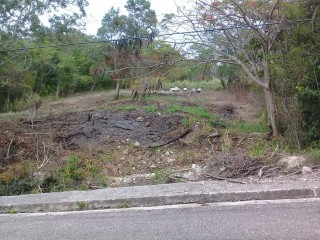 Residential lot For Sale in Montego Bay St James, St. James Jamaica | [1]