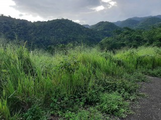 Residential lot For Sale in culloden   White house, Westmoreland, Jamaica