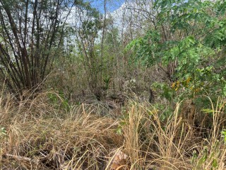 Land For Sale in Red Hills, St. Catherine Jamaica | [1]