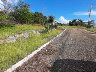 Residential lot For Sale in Whitehouse, Westmoreland Jamaica | [2]