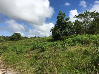 Residential lot For Sale in Chippenham Park Bamboo, St. Ann Jamaica | [9]