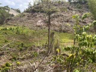 Land For Rent in Claremont, St. Ann Jamaica | [6]