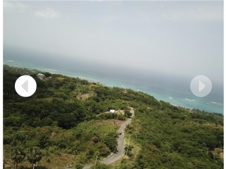 Land For Sale in Whitehouse, Westmoreland, Jamaica