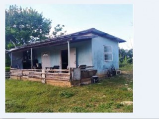 Land For Sale in Bogue, St. Elizabeth, Jamaica