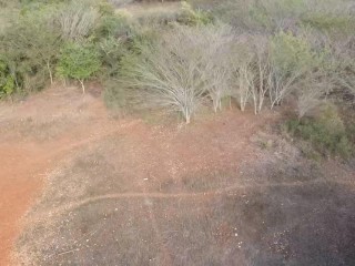 Land For Sale in Retreat, Clarendon Jamaica | [4]
