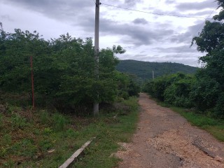 Residential lot For Sale in Red Ground Old Harbour, St. Catherine Jamaica | [1]