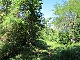 Commercial/farm land For Sale in Malvern, St. Elizabeth Jamaica | [1]
