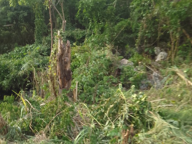 Residential lot For Sale in Chancery Hall, Kingston / St. Andrew Jamaica | [5]
