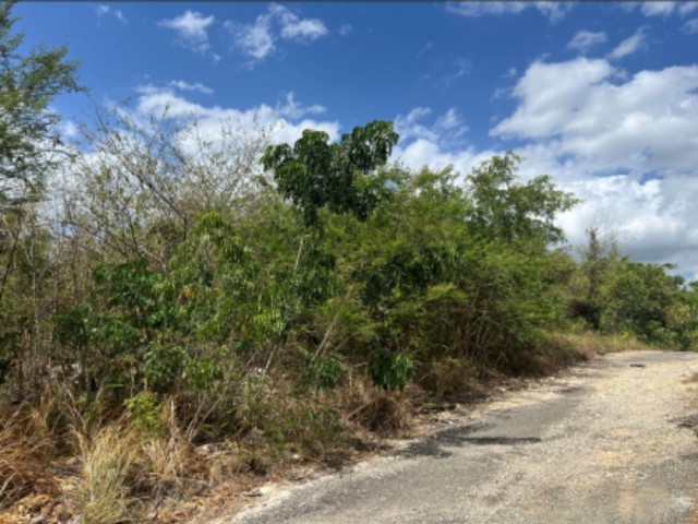 Residential lot For Sale in RED HILLS, Kingston / St. Andrew Jamaica | [2]