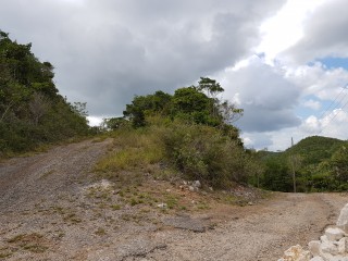 Residential lot For Sale in Kingsland, Manchester Jamaica | [2]