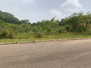 Residential lot For Sale in Mandeville, Manchester Jamaica | [1]