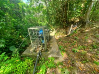Land For Sale in SPRING GARDEN JEFFREY TOWN GUYS HILL, St. Mary Jamaica | [1]