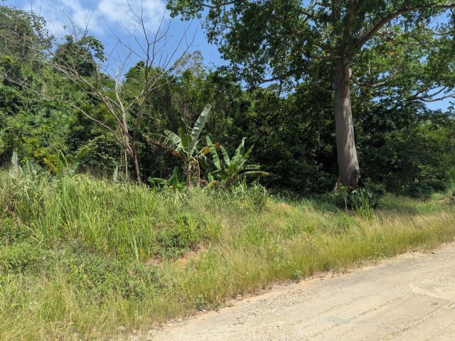 Residential lot For Sale in Red Hills, Kingston / St. Andrew Jamaica | [1]