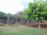Flat For Sale in Swansea May Pen, Clarendon Jamaica | [4]