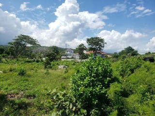 Land For Sale in Rockville Galina, St. Mary, Jamaica