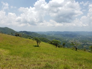 Land For Sale in Friendship St Ann, St. Ann, Jamaica