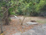 House For Sale in Sydenham, St. Catherine Jamaica | [8]