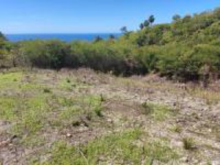 Residential lot For Sale in White House, Westmoreland, Jamaica