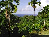 House For Sale in Port Antonio, Portland Jamaica | [10]
