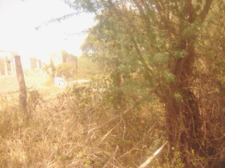 Land For Sale in May Pen, Clarendon Jamaica | [6]