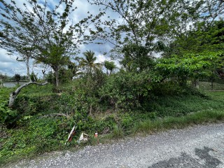 Land For Sale – Bethel Town, Westmoreland, Jamaica