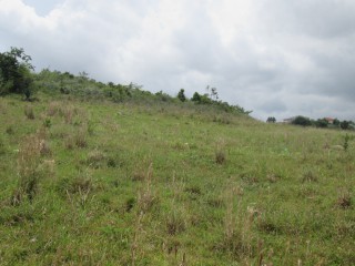 Residential lot For Sale in Knockpatrick New Wales, Manchester, Jamaica