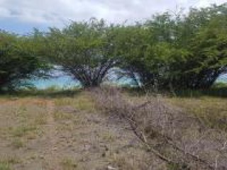 Resort/vacation property For Sale in YALLAHS, St. Thomas Jamaica | [7]