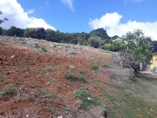 Land For Sale in Christiana, Manchester, Jamaica