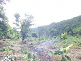Commercial/farm land For Sale in RED HILLS, Kingston / St. Andrew Jamaica | [3]