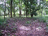 Commercial/farm land For Sale in Kitson Town, St. Catherine Jamaica | [3]
