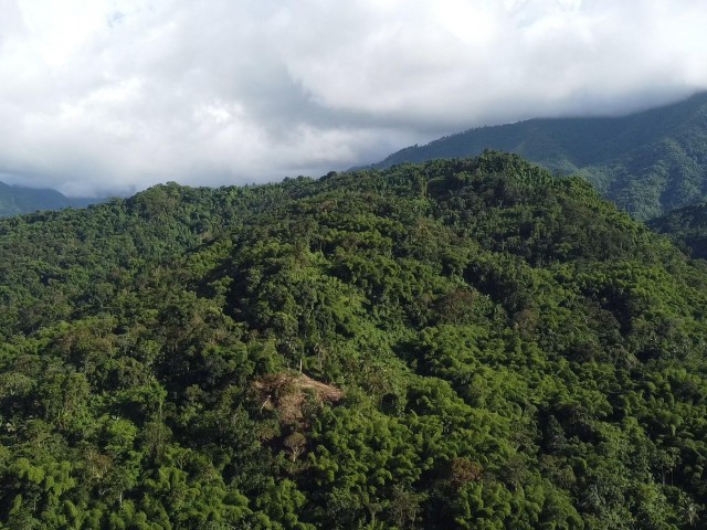 Land For Sale - swift river, Portland, Jamaica