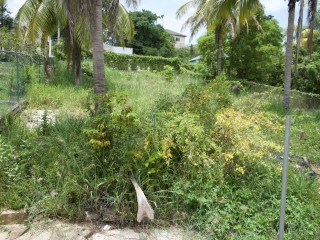 Land For Sale in Santa Cruz, St. Elizabeth, Jamaica