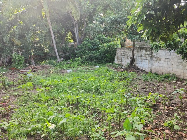 Development Land (Residential) For Sale in Barbican, Kingston / St. Andrew Jamaica | [3]