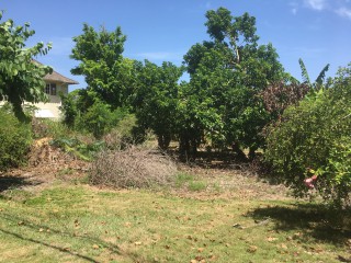 Residential lot For Sale in Vista Del Mar, St. Ann Jamaica | [8]