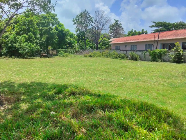 Land For Sale in Retreat, St. Thomas Jamaica | [1]