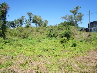 Land For Sale – Darliston, St. Elizabeth, Jamaica