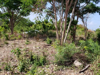 Residential lot For Sale in Ironshore, St. James Jamaica | [7]