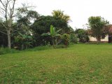 House For Sale in Brumelia Mandeville, Manchester Jamaica | [4]