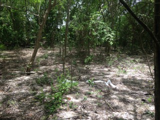 Residential lot For Sale in Negril, Westmoreland Jamaica | [1]