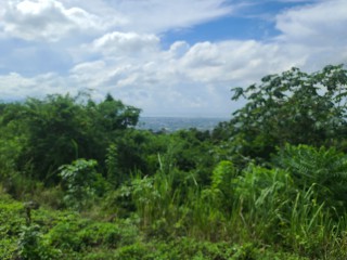 Residential lot For Sale - Chancery Hall, Kingston / St. Andrew, Jamaica
