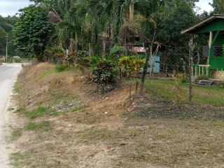 Land For Sale in Grange Hill, Westmoreland, Jamaica