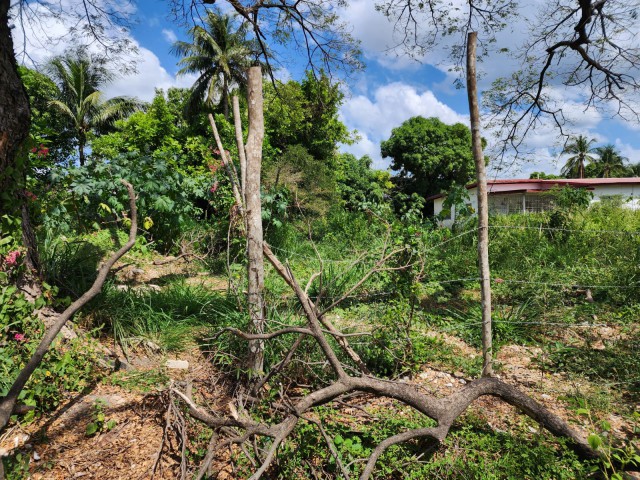 Residential lot For Sale in Homstead Park, St. Catherine Jamaica | [6]