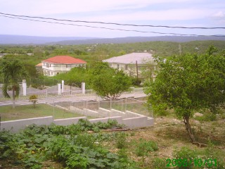 Apartment For Rent in Meadowlands, Clarendon Jamaica | [2]