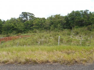 Land For Sale in Spur Tree, Manchester, Jamaica
