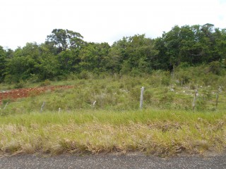 Land For Sale in Spur Tree, Manchester Jamaica | [4]