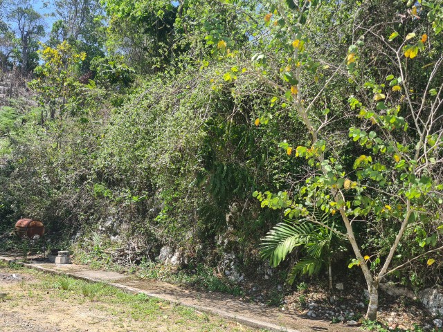 Residential lot For Sale in Red  Hills, Kingston / St. Andrew Jamaica | [7]