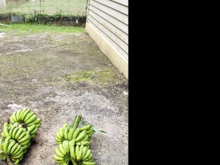 Commercial building For Sale – Latium, St. James, Jamaica