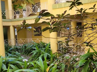 Apartment For Sale in 10 Central Avenue, Kingston / St. Andrew Jamaica | [3]